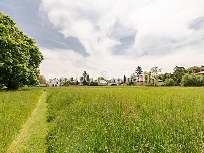 Popis: https://d18-a.sdn.cz/d_18/c_img_QP_K7/auGYL9.jpeg?fl=res,400,300,3|shr,,20|jpg,90