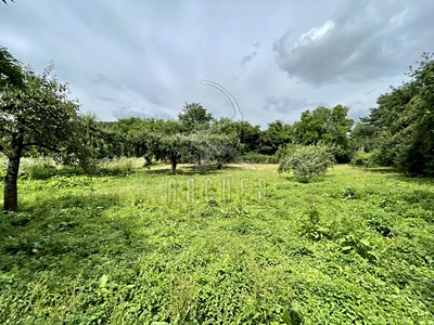 Popis: https://d18-a.sdn.cz/d_18/c_img_QL_J5/1JztP.jpeg?fl=res,400,300,3|shr,,20|jpg,90