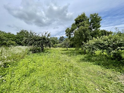 Popis: https://d18-a.sdn.cz/d_18/c_img_QJ_Jn/zxlewJ.jpeg?fl=res,400,300,3|shr,,20|jpg,90