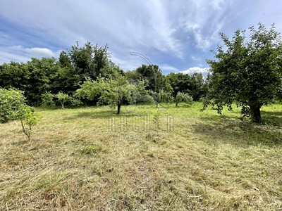 Popis: https://d18-a.sdn.cz/d_18/c_img_QK_Jn/FF9Bat8.jpeg?fl=res,400,300,3|shr,,20|jpg,90