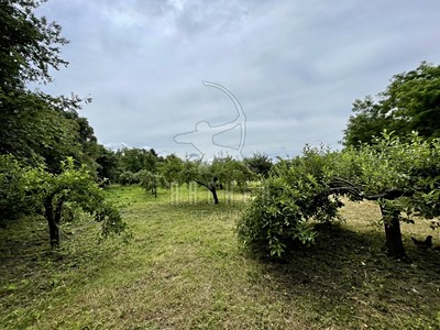 Popis: https://d18-a.sdn.cz/d_18/c_img_QK_Jn/zTRBat9.jpeg?fl=res,400,300,3|shr,,20|jpg,90