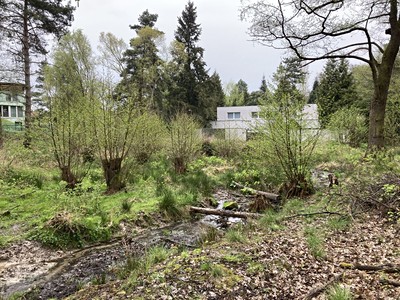 Popis: https://d18-a.sdn.cz/d_18/c_img_QR_MD/o21ZFZ.jpeg?fl=res,400,300,3|shr,,20|jpg,90