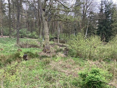 Popis: https://d18-a.sdn.cz/d_18/c_img_QM_Kc/S4JZLt.jpeg?fl=res,400,300,3|shr,,20|jpg,90