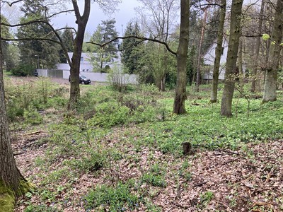 Popis: https://d18-a.sdn.cz/d_18/c_img_QN_J5/n3vBkuD.jpeg?fl=res,400,300,3|shr,,20|jpg,90