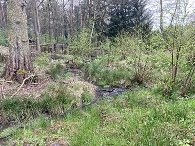 Popis: https://d18-a.sdn.cz/d_18/c_img_QI_Jh/OwOZjn.jpeg?fl=res,400,300,3|shr,,20|jpg,90