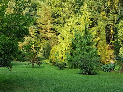 Popis: https://d18-a.sdn.cz/d_18/c_img_gT_s/vWgR3m.jpeg?fl=res,400,300,3|shr,,20|jpg,90